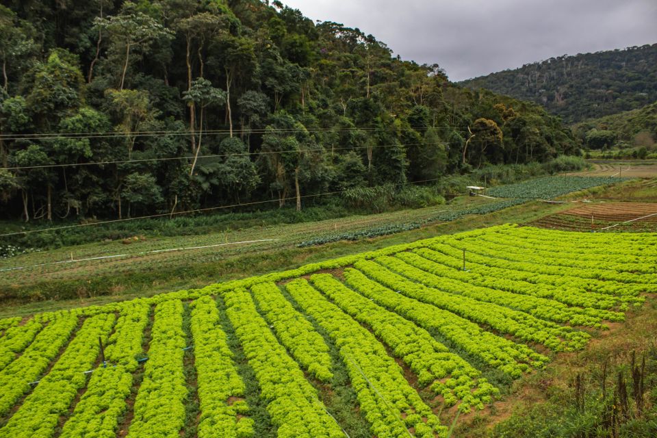 From Rio: Brejal Countryside Farm and Nature Day Trip - Unique Attractions