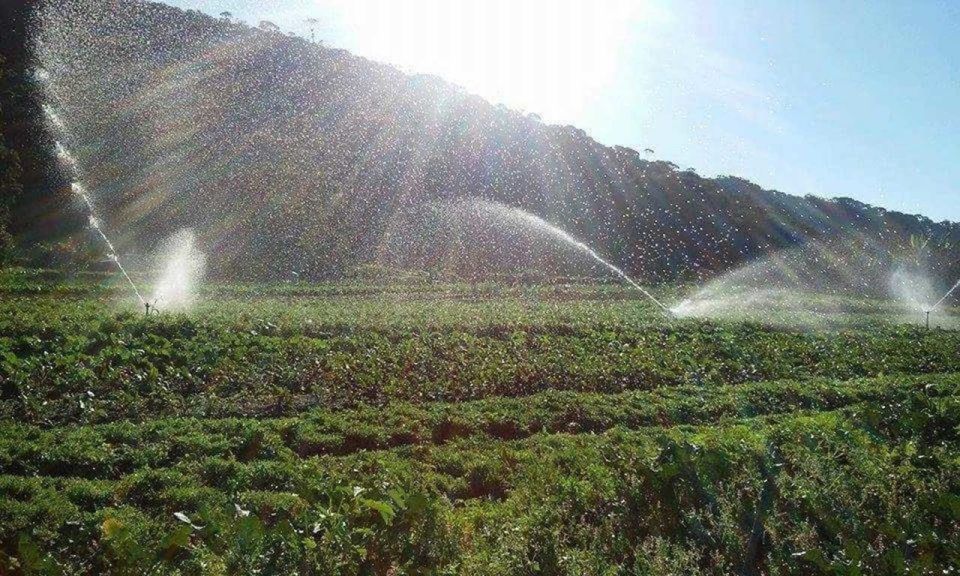 From Rio: Brejal Countryside Farm and Nature Day Trip - Local Cuisine