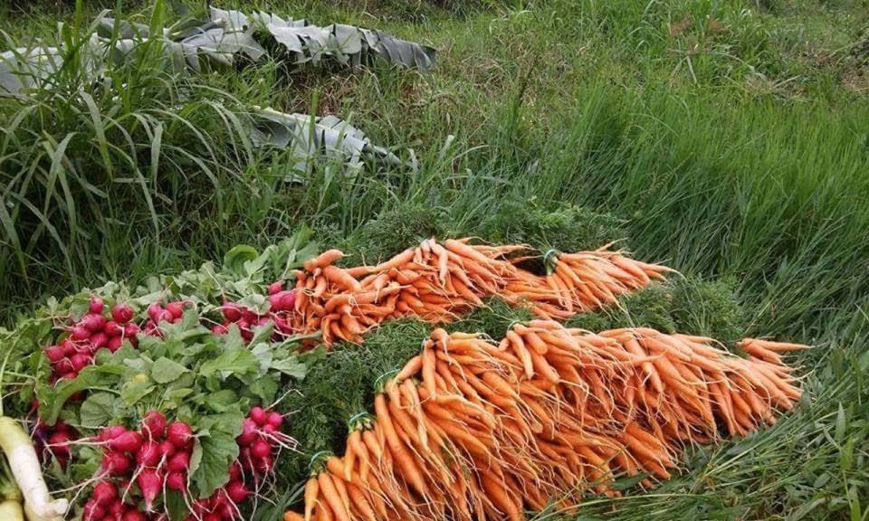 From Rio: Brejal Countryside Farm and Nature Day Trip - Environmental Impact