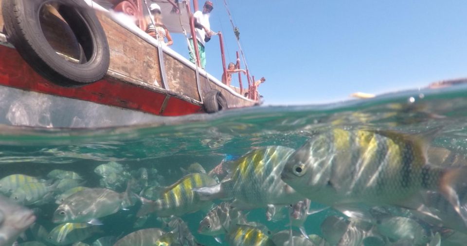 From Rio De Janeiro: Ilha Grande Day Trip - Tips for Travelers