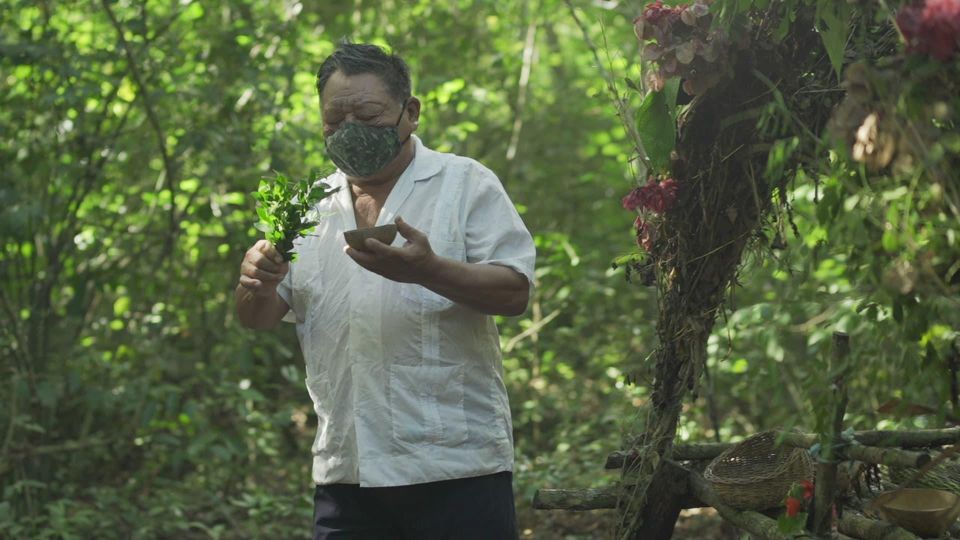 From Riviera Maya: Coba, Punta Laguna and Cenote Day Trip - Tour Details