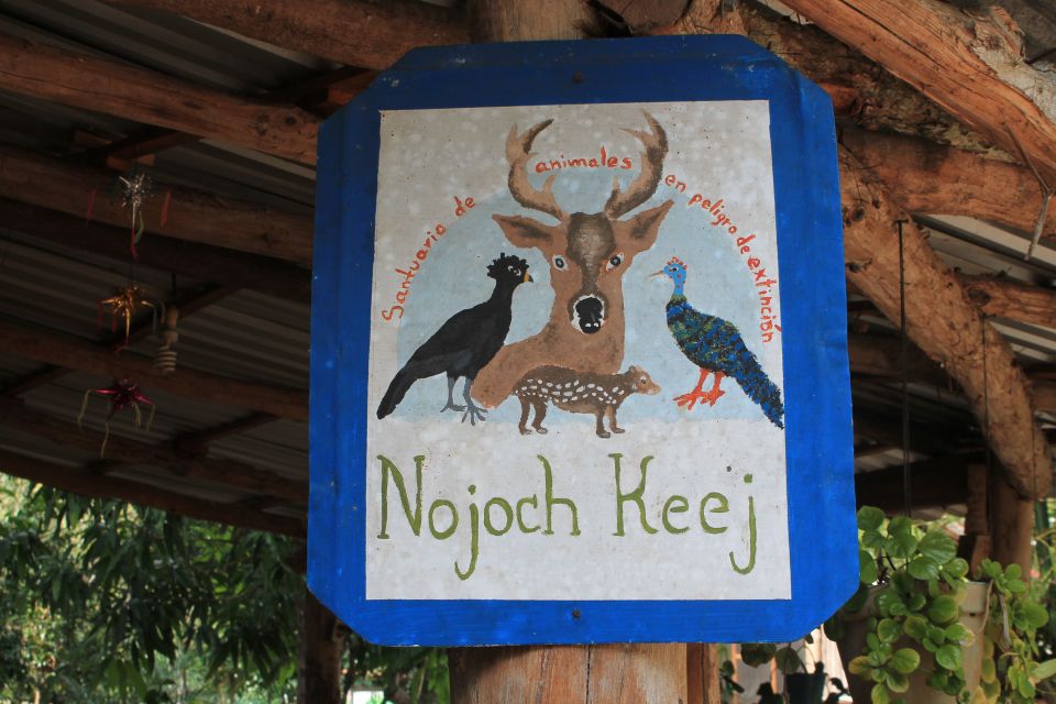 From Riviera Maya: Coba, Punta Laguna and Cenote Day Trip - Lunch With Locals