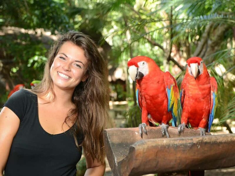 From Riviera Maya: Complete Combo to Xcaret Park! - What You Can Expect at Xcaret  