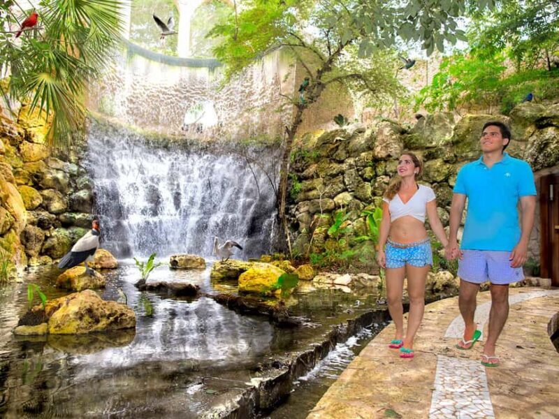 From Riviera Maya: Complete Combo to Xcaret Park! - Who Is This Tour Best For?  