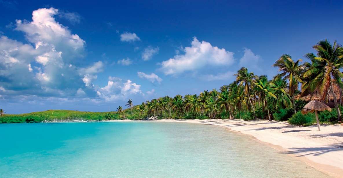 From Riviera Maya: Day Tour to Contoy and Isla Mujeres - Isla Contoy National Park