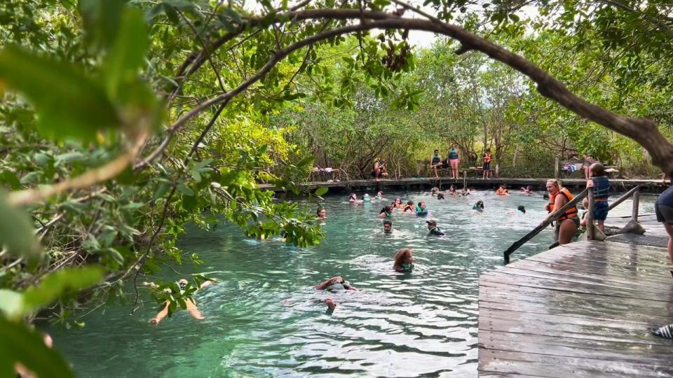 From Riviera Maya: Holbox Full-Day Tour With Lunch - Cenote Swim