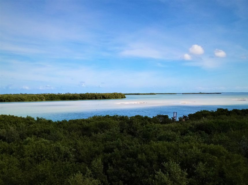 From Riviera Maya: Holbox Full-Day Tour With Lunch - Transportation Details
