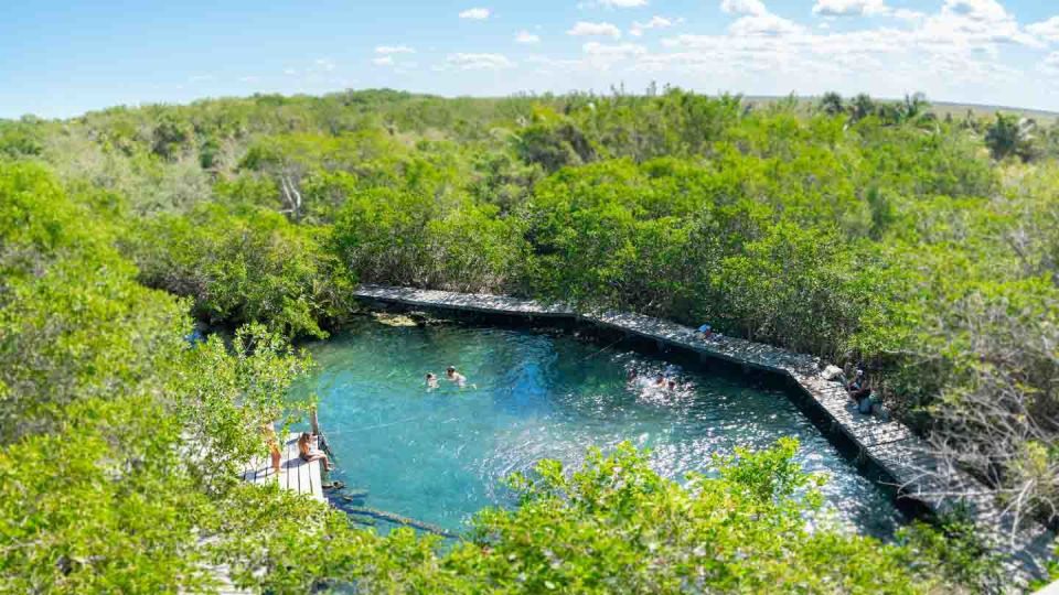 From Riviera Maya: Holbox Full-Day Tour With Lunch - Exclusion Considerations