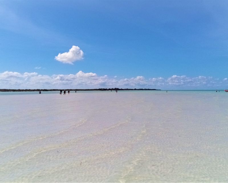 From Riviera Maya: Holbox Full-Day Tour With Lunch - Booking Information