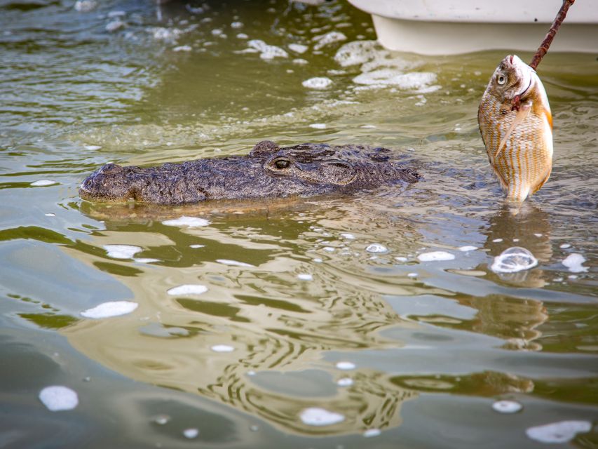 From Riviera Maya: Las Coloradas and Rio Lagartos Tour - Highlights of the Tour