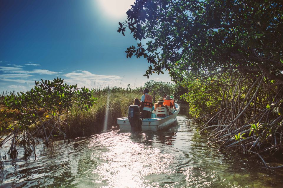 From Riviera Maya: Mayan Ruins & Sian Kaan Reserve Tour - Key Points