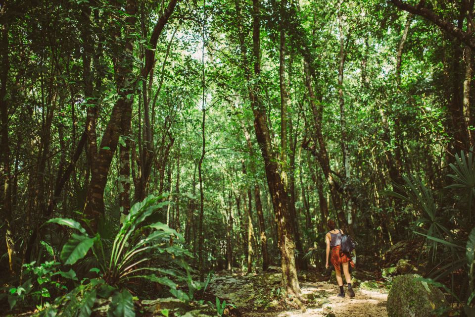 From Riviera Maya: Mayan Ruins & Sian Kaan Reserve Tour - Pickup and Itinerary