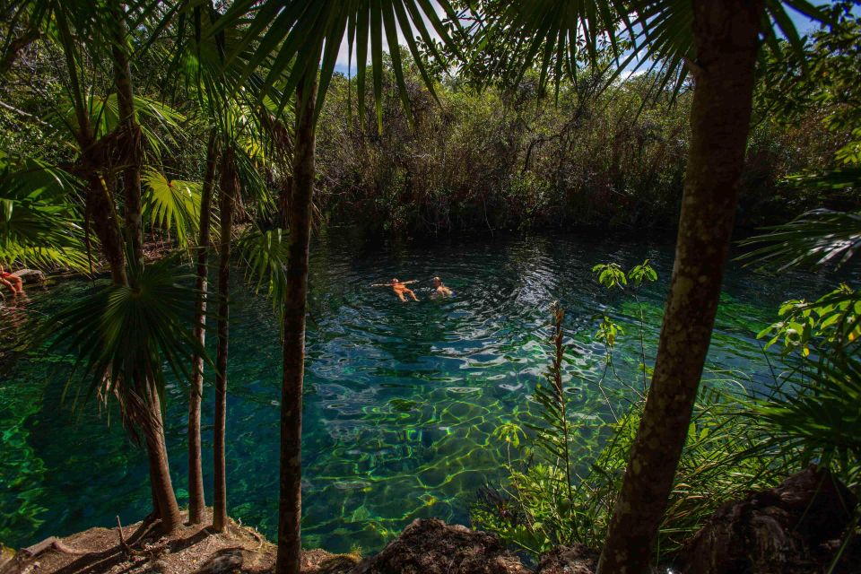 From Riviera Maya: Private Temazcal & Cenote Ceremony - Key Points