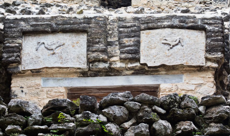 From Riviera Maya: Sian Kaan Muyil Birdwatching With Guide - Muyil Archaeological Site Exploration