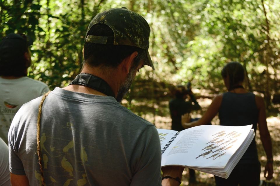 From Riviera Maya: Sian Kaan Muyil Birdwatching With Guide - Flooded Jungle Boardwalk