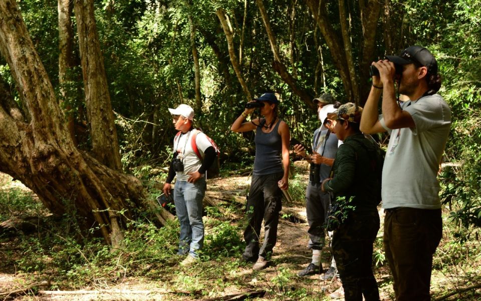 From Riviera Maya: Sian Kaan Muyil Birdwatching With Guide - Inclusions and Highlights