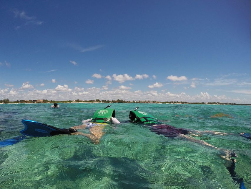From Riviera Maya: Snorkeling & Private Cenote Half-Day Tour - Cenote Exploration