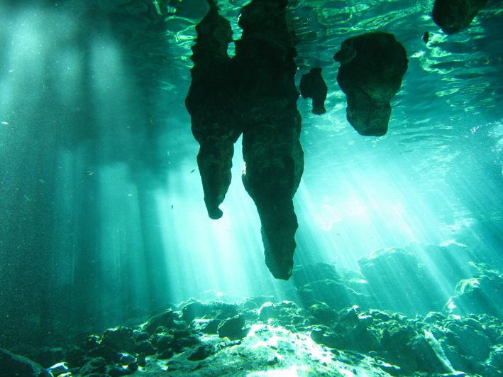 From Riviera Maya: Snorkeling & Private Cenote Half-Day Tour - Highlights of the Tour