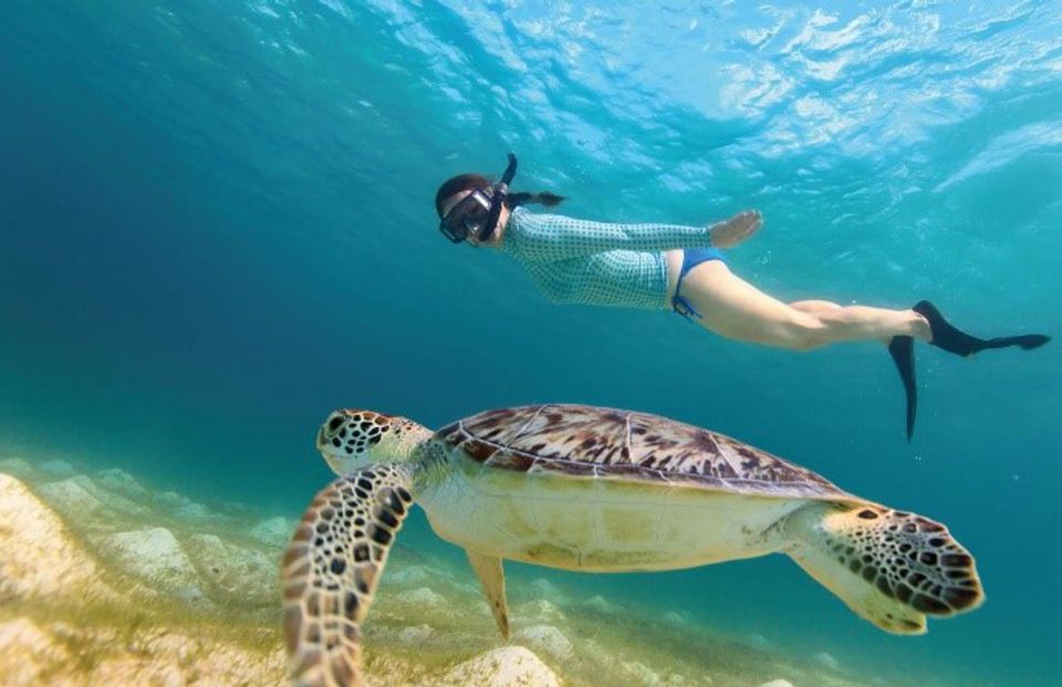 From Riviera Maya: Tulum, Cenote, & Akumal Turtle Swim Trip - Itinerary Overview