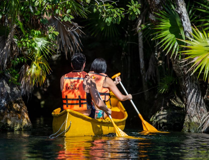 From Riviera Maya : Tulum Ruins, Cenotes & Jungle Adventure - Discovering Tropical Wildlife