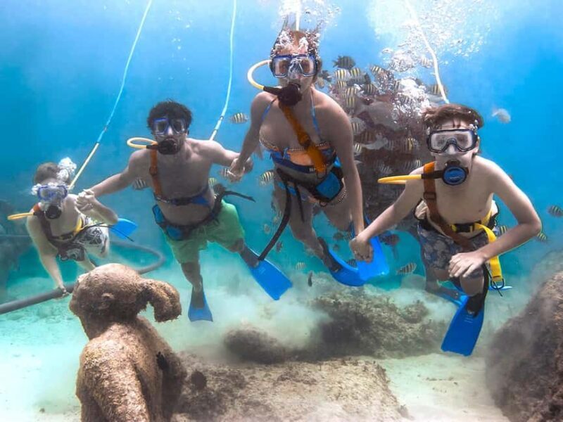 From Riviera Maya: Xcaret Park Plus, the complete experience - Genuine Feedback From Travelers