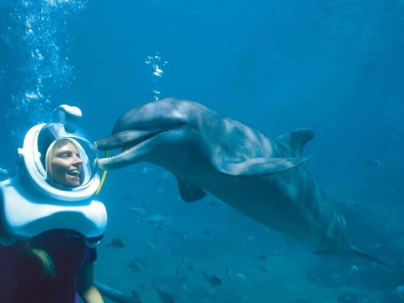 From Riviera Maya: Xel-Há All-Inclusive Park - Authentic Experiences and Honest Opinions