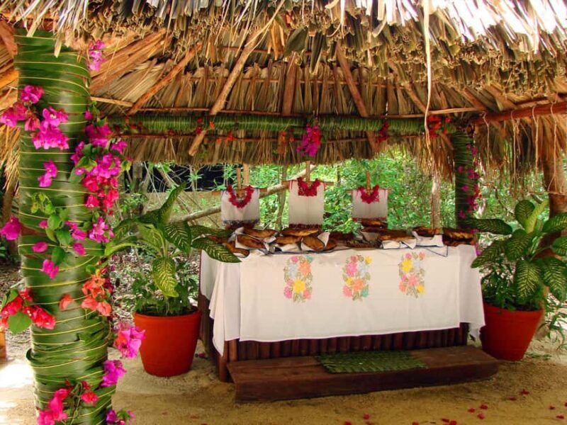 From Riviera Maya: Xel-Há All-Inclusive Park - FAQ