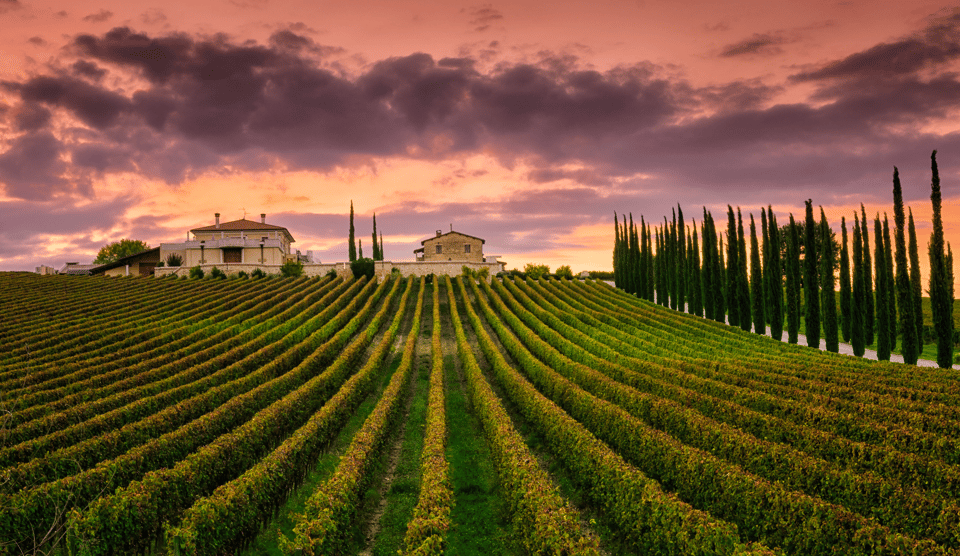 From Roma: Montepulciano and Montalcino, on the Wine Routes - Key Points