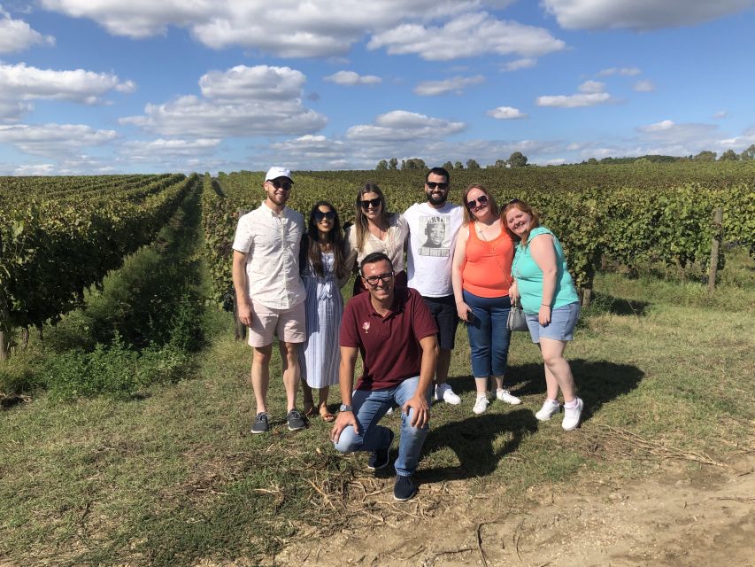 From Rome: Food & Wine Tasting in a Medieval Cellar - Key Points