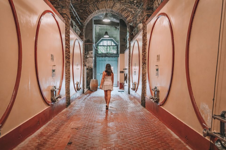 From Rome: Food & Wine Tasting in a Medieval Cellar - Transportation and Inclusions