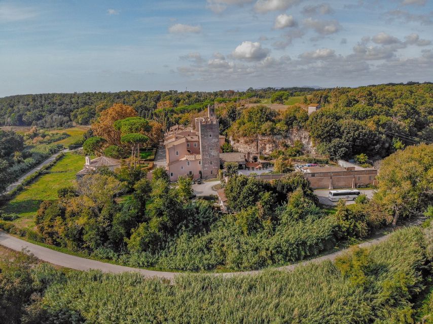 From Rome: Food & Wine Tasting in a Medieval Cellar - Purchasing Wines and Oils