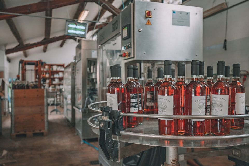 From Rome: Food & Wine Tasting in a Medieval Cellar - Frequently Asked Questions