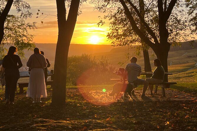 From Rome: Hidden Tuscany Day Trip with Lunch and Wine Tastings - Key Points