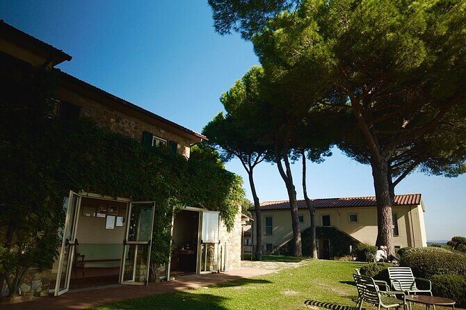 From Rome: Hidden Tuscany Day Trip with Lunch and Wine Tastings - Final Thoughts