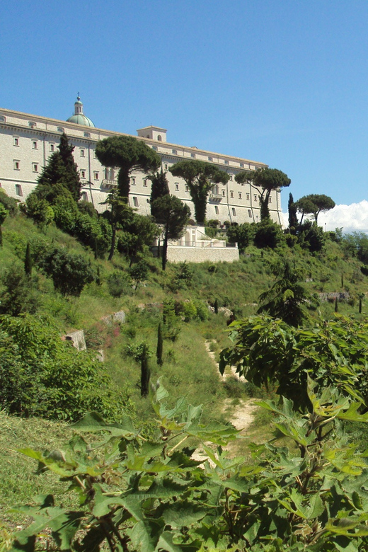 From Rome: Montecassino Day Trip - Tour Inclusions