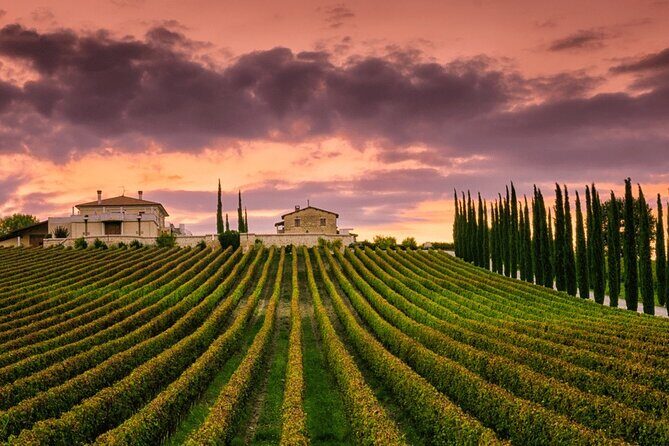 from Rome Montepulciano and Montalcino, the Wine Routes - An In-Depth Look at the Experience