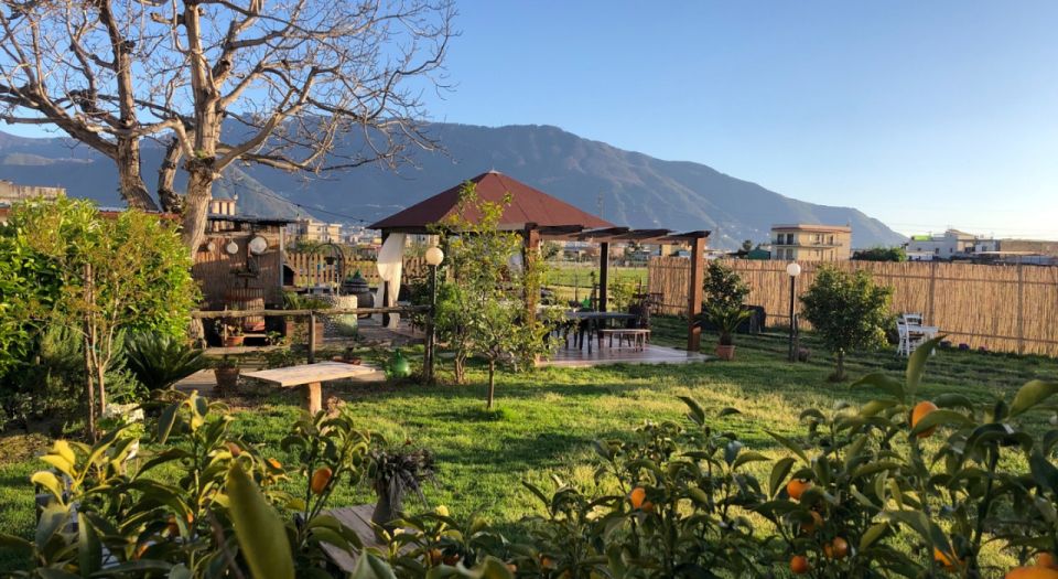 From Rome: Pompei by Bullet Train With Pasta Class & Lunch - Inclusions and Exclusions