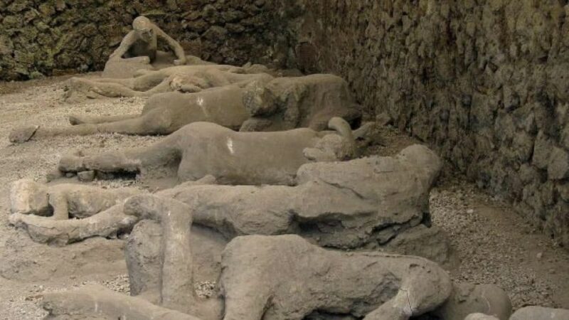From Rome: Pompeii and Mount Vesuvius Day Trip - The Journey from Rome to Pompeii and Vesuvius