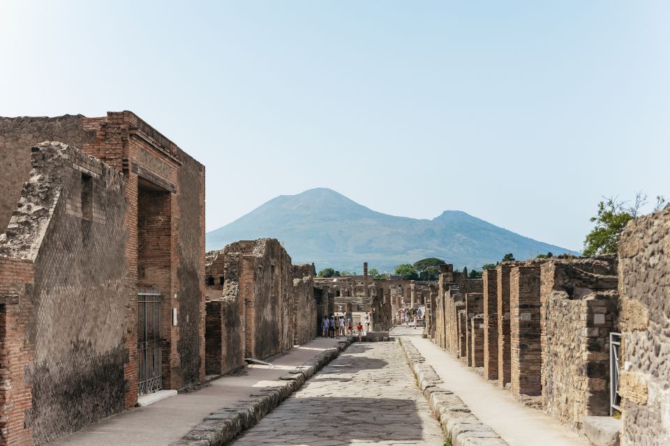 From Rome: Pompeii and Mount Vesuvius Day Trip With Lunch - Key Points
