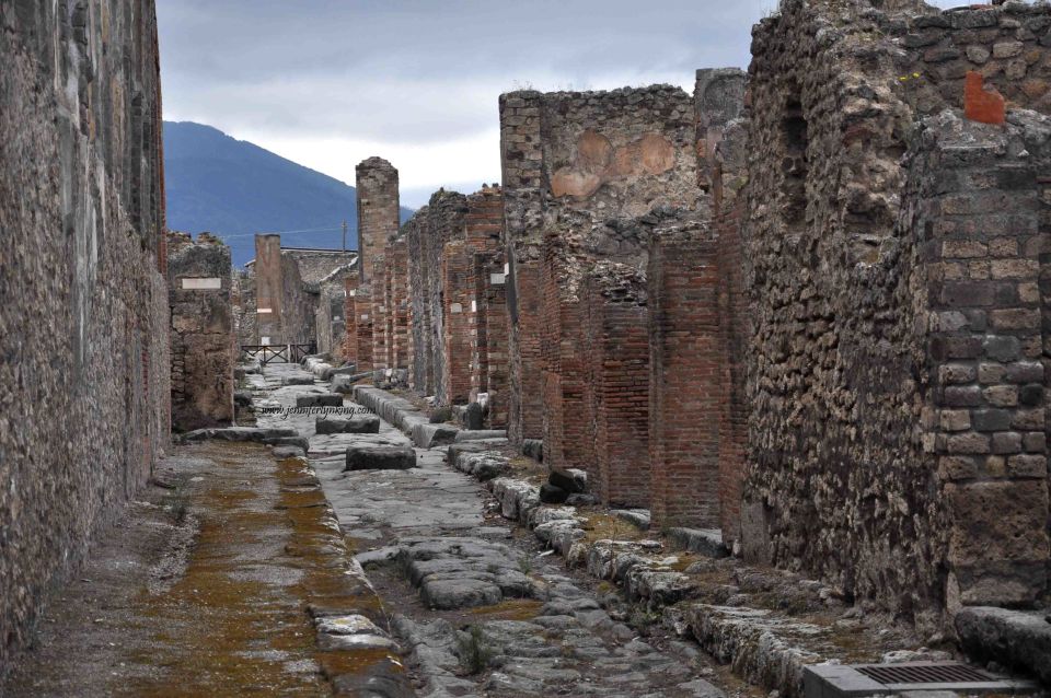 From Rome: Pompeii and Mount Vesuvius Private Tour - Important Information