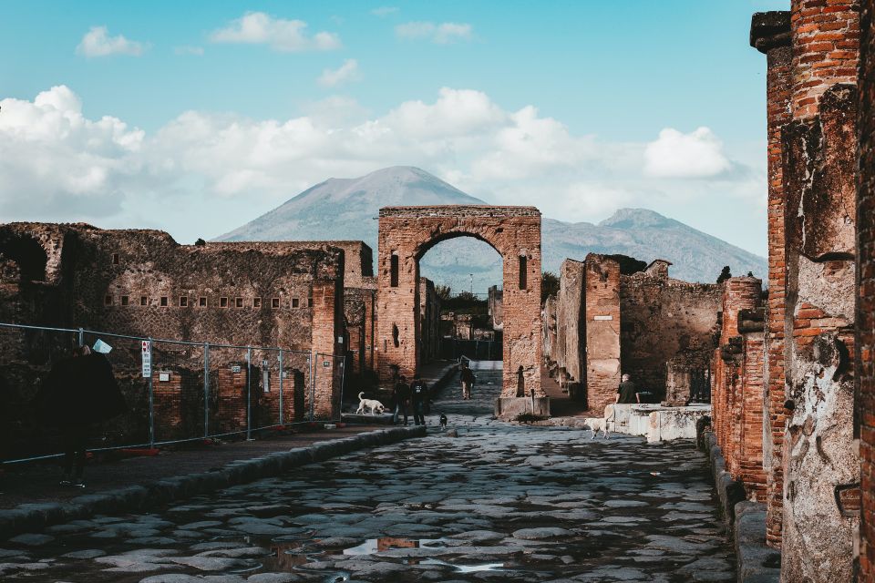 From Rome: Pompeii Private Full-Day Trip With Tour - Full Description
