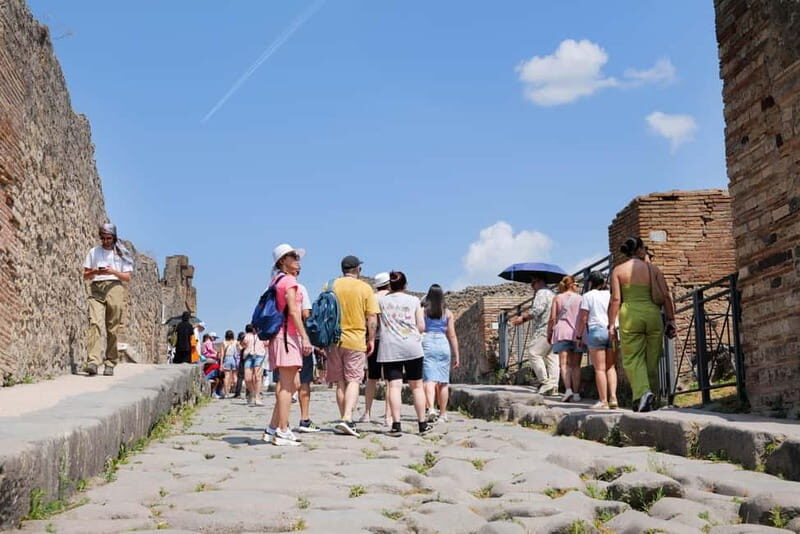 From Rome: Pompeii Ruins Tour with Expert Guide & Fast Train - Key Points