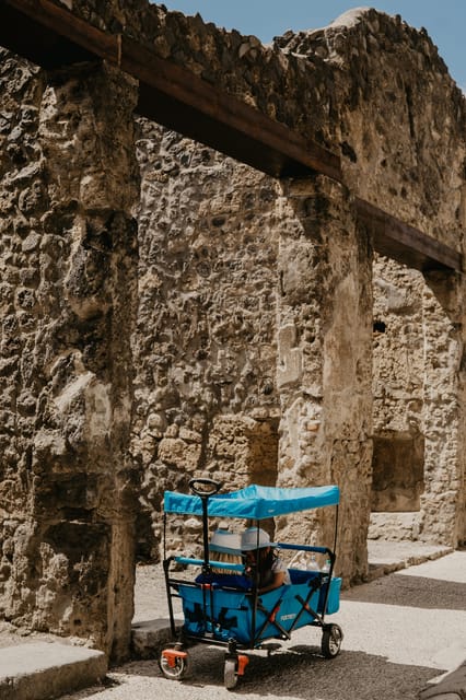 From Rome: Pompeii Ruins Tour with Expert Guide & Fast Train - A Close Look at the Experience