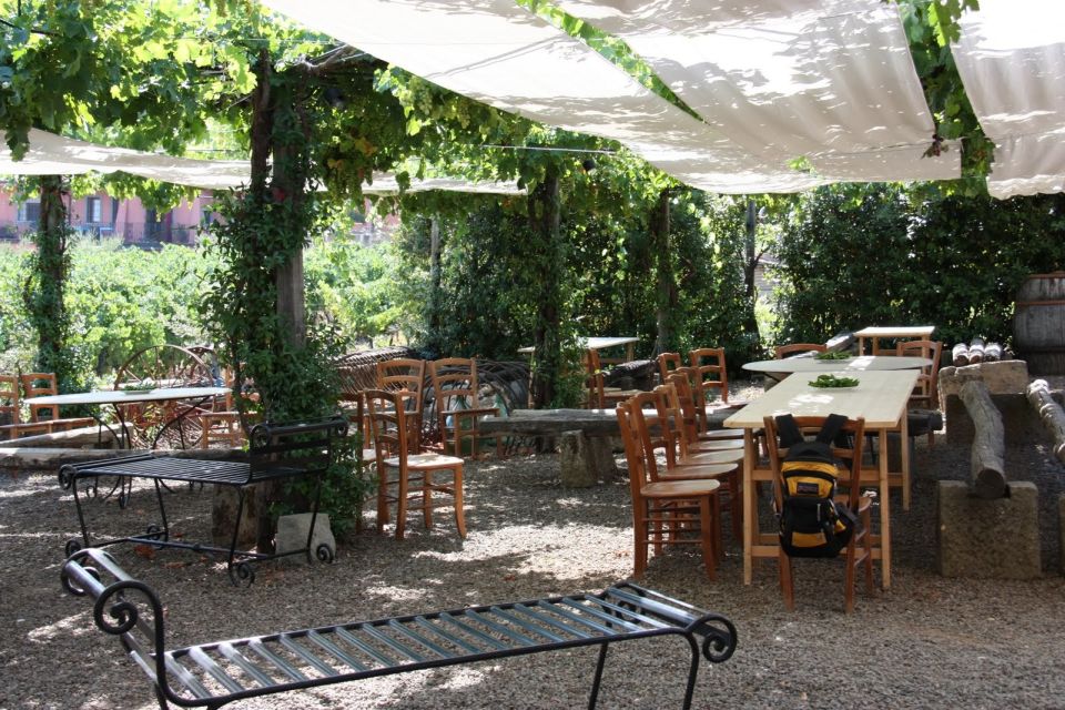 From Rome: Private Countryside Wine Tasting With Lunch - Cancellation Policy