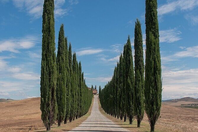 From Rome: Private Day-Tour of Tuscany - Key Points