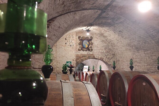 From Rome: Private Day-Tour of Tuscany - A Detailed Look at the Experience