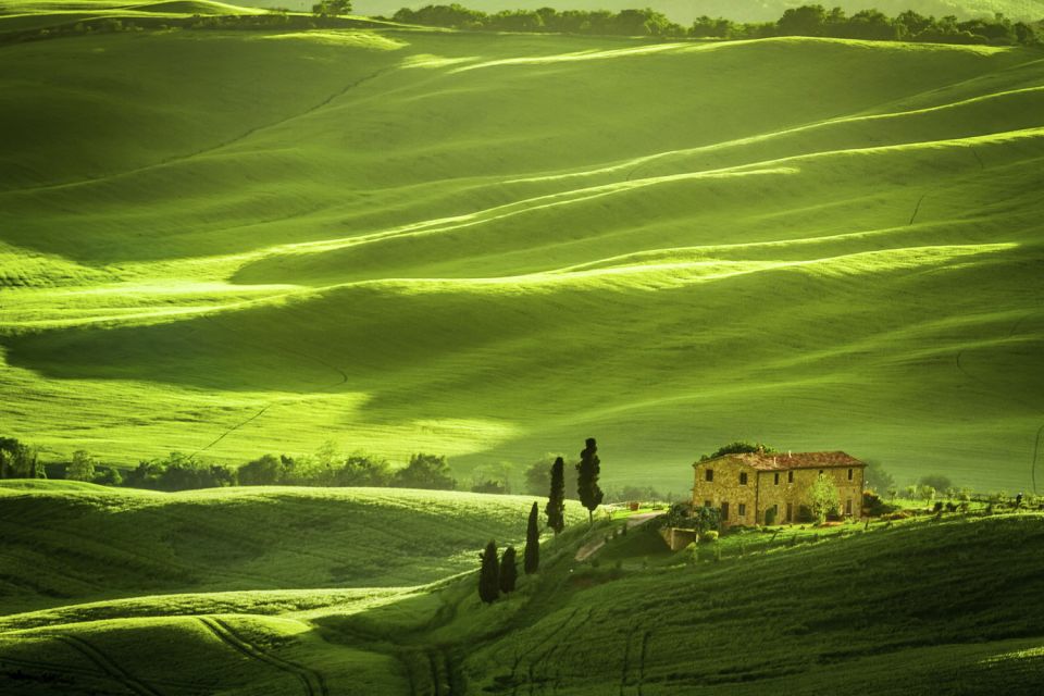 From Rome: Private Tuscany Day Trip - Highlights