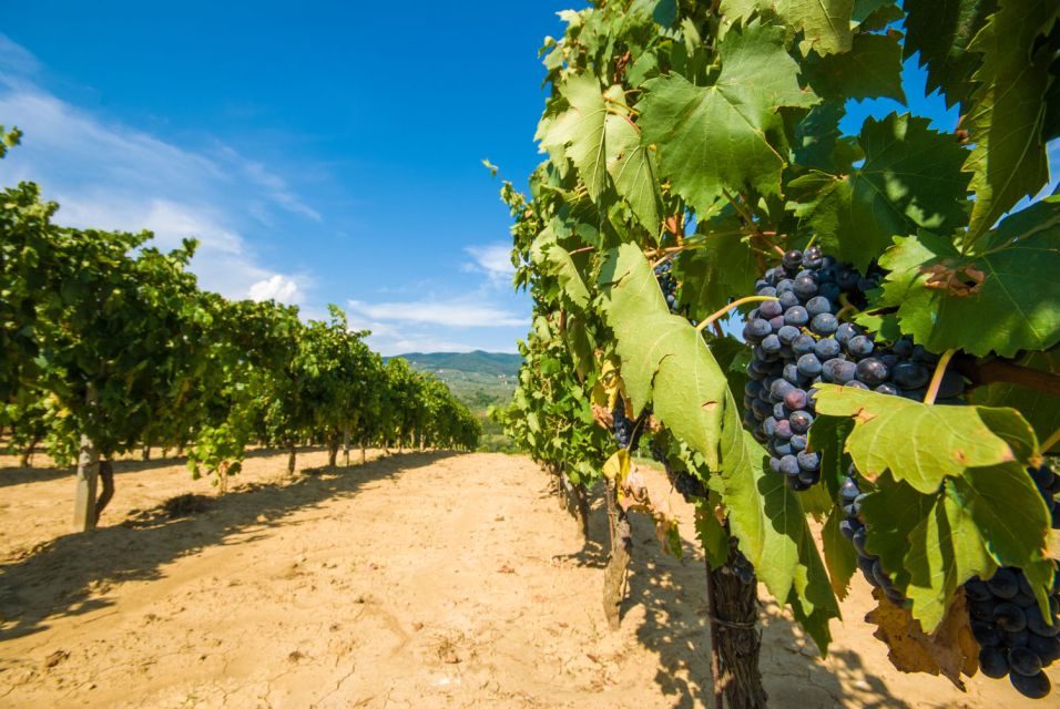 From Rome: Private Tuscany Day Trip - Directions