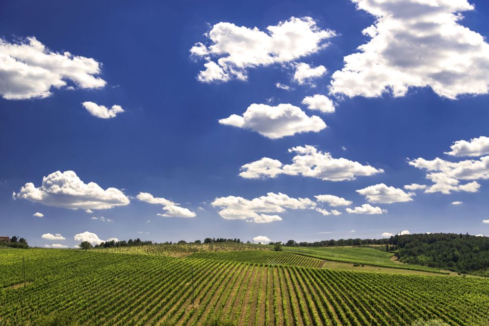 From Rome: Private Tuscany Day Trip - Recap