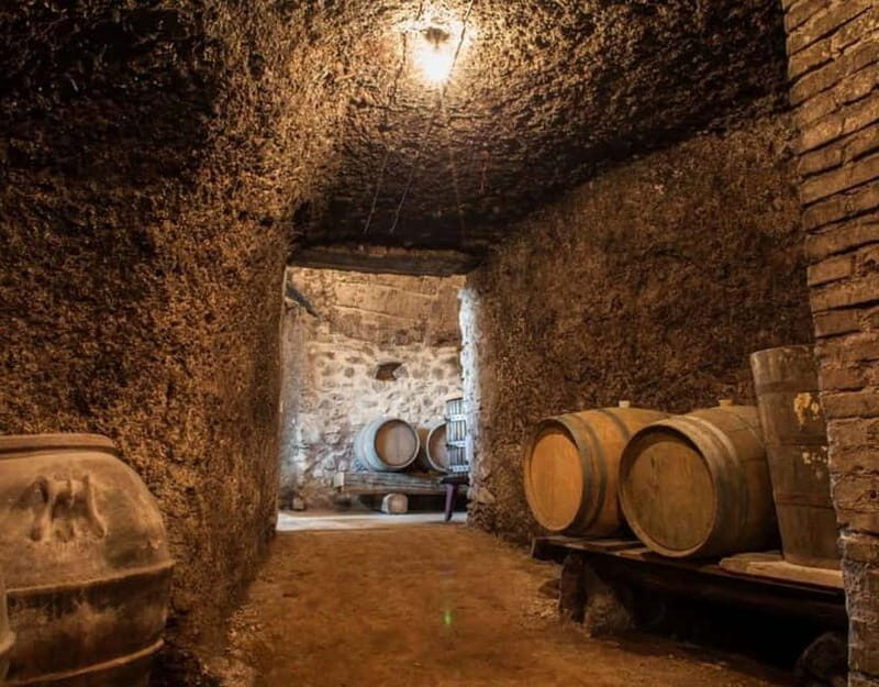 From Rome: Small Group Frascati Wine Tasting and Food Tour - Key Points